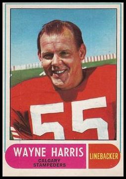 80 Wayne Harris